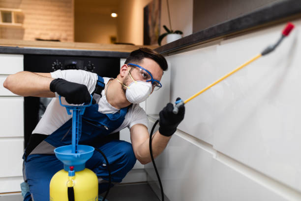 Best Flea Control Services  in Allentown, PA