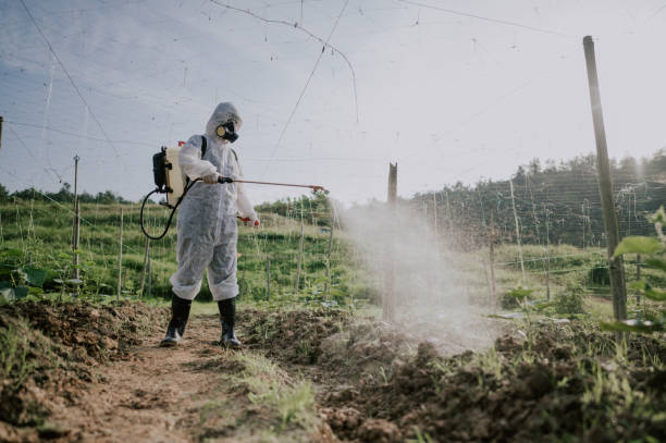 Best Ant Control Services  in Allentown, PA