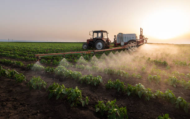 Best Commercial Pest Control Services  in Allentown, PA