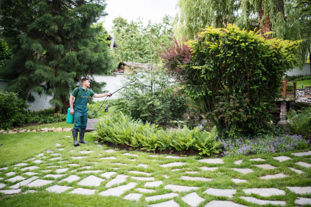 Best Commercial Pest Control Services  in Allentown, PA