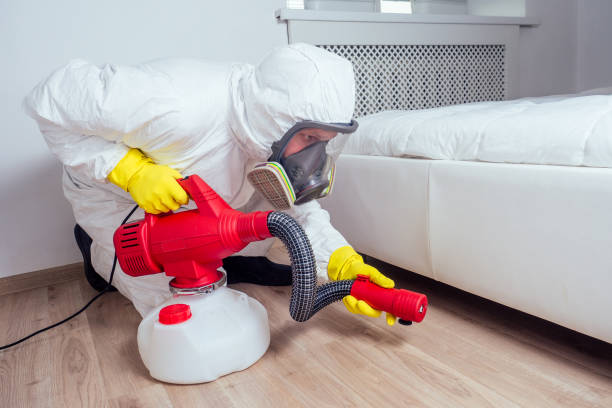 Reliable Allentown, PA Pest Control Solutions
