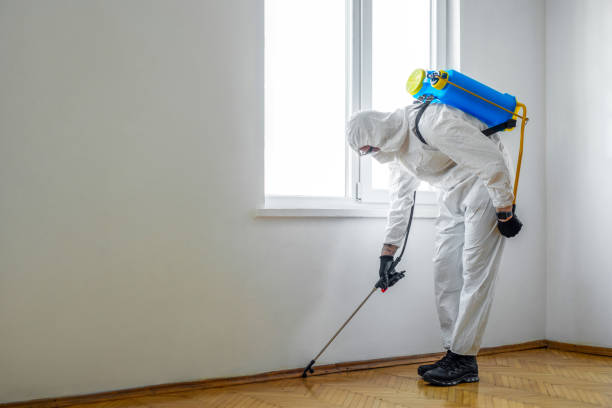 Best Pest Prevention Services  in Allentown, PA