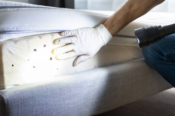 Best Bed Bug Extermination  in Allentown, PA