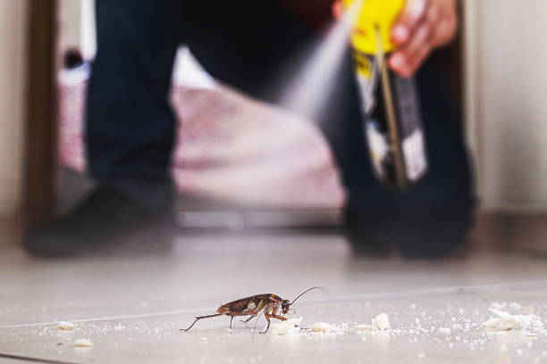 Best Wildlife Control Services  in Allentown, PA